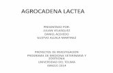 Agrocadena y Agenda de Investigación Láctea