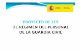 Proyecto Ley Regimen Personal GC
