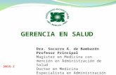 Sistema de Salud en Perú URP