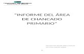 INFORME DEL ÁREA DE CHANCADO PRIMARIO 2013.docx