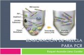 Presentaciones de PCR y Geles-Vr