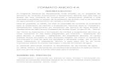 FORMATO ANEXO 4 CP NVA AMERICANA-1.docx