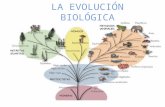 Teorias de La Evolucion