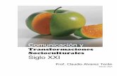 Alvarez Teran, Manual de Transformaciones Socioculturales en el SXXI
