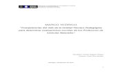 Marco Teórico Diplomado en Metodología de La Investigación Científica Corregido VI