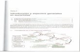 Generalidades c©lular procari³tica y eucari³tica.pdf