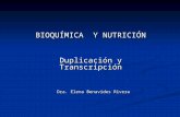 (02-OCT-14) 6B. Duplicación y Transcripción