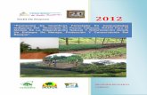 Perfil Del Proyecto Promoción de Incentivos Forestales Puerto Cabezas 2012