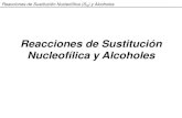 Sustitucion Nucleofilica (1)