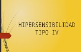 Hipersensibilidad Tipo IV y V