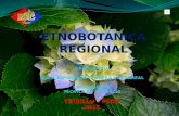 Etnobotánica Regional