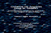 Campos de Acción para el Diseño - Trabajo de Grado - Diego Peña Alvarez