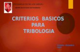 Criterios Basicos.pptx