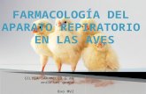 Farmacología en el aparato respiratorio en aves