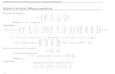 Problemas Resueltos de Álgebra Lineal.pdf