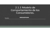 2.1.1 Modelos de Comportamiento Del Consumidos