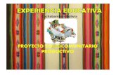 experiencia pedagogica BOLIVIA.pdf
