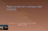 02 Modelo CNCPS Traducido