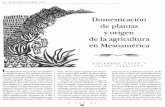 Domesticacion de Plantas y Origen de La Agricultura en Mesoamerica