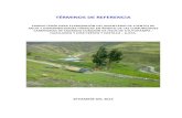 TDR- Inventario Infraestructura Hidráulica y Aprovechamiento Agua