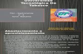 Universidad Tecnológica de Tabasco 2 E