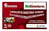 Contribución Del Ganado Criollo Colombiano en La Calidad de Los Productos (Carne) Orgánicos.