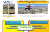 Clase 1 Microbiologia Basica y Aplicada a La Minera
