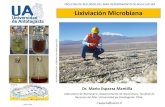 Clase 2 Microbiologia Aplicada a La Mineria