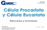 Célula Procariota y Célula Eucariota