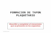 Formacion de Tapon Plaquetario
