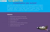 1_TEMARIO Y MANUAL PRACTICO DE GIMP.pdf