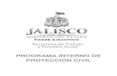 8 IV g) Protocolo Interno de Proteccion Civil