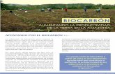 Biocarbón: Aumentando la productividad de la tierra en la Amazonía