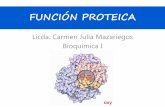 CL 7 - Función Proteica