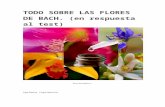 Todo Sobre Las Flores de Bach