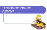 Clase Nº 08 Fisiología Del Aparato Digestivo (1)