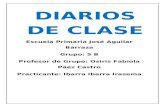 Diarios de Clase 2015
