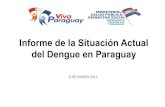 Situacion Del Dengue en Paraguay