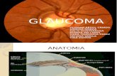 Glaucoma Grupo 1 2