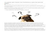 Upsocl.com-11 Cosas Que Hacen Los Humanos y Que Los Perros Odian