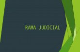 Rama Judicial Exposicion