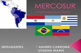 Mercosur Expo