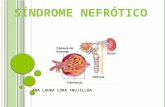Exposicion de Sindrome Nefrotico