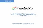 Plan Estrategico EBIH Agenda Bicentenario 2025