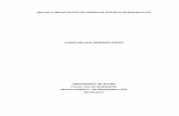 Macro y micro ruteo de Residuos Sólidos.pdf