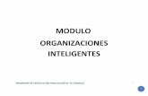 Organizaciones Inteligentes.pdf