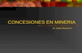 7. Concesiones en Minería