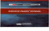 Compilación de Jurisprudencia en Justicia Penal Juvenil