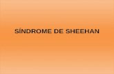 Sindrome de Sheehan