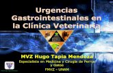 Urgencias Gastrointestinales en la clínica veterinaria.pdf